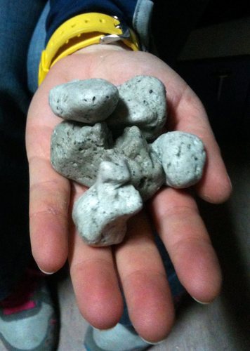 pumice pumice