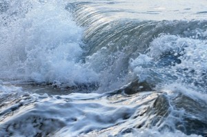 shutterstock_13801930