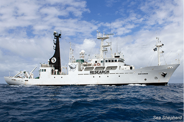 In December, Sea Shepherd unveiled their latest ship, the SSS Sam Simon, which last week was used to locate the Japanese whaling fleet’s refueling tanker and prevent it from reaching the whalers. Photo: Sea Shepherd Conservation Society
