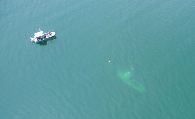 A boatcrew aboard a 26-foot Trailerable Aids-to-Navigation Boat provides a safety zone around the sunken tug Hammond Bay in the St. Marys River, July 1, 2013. U.S. Coast Guard photo.